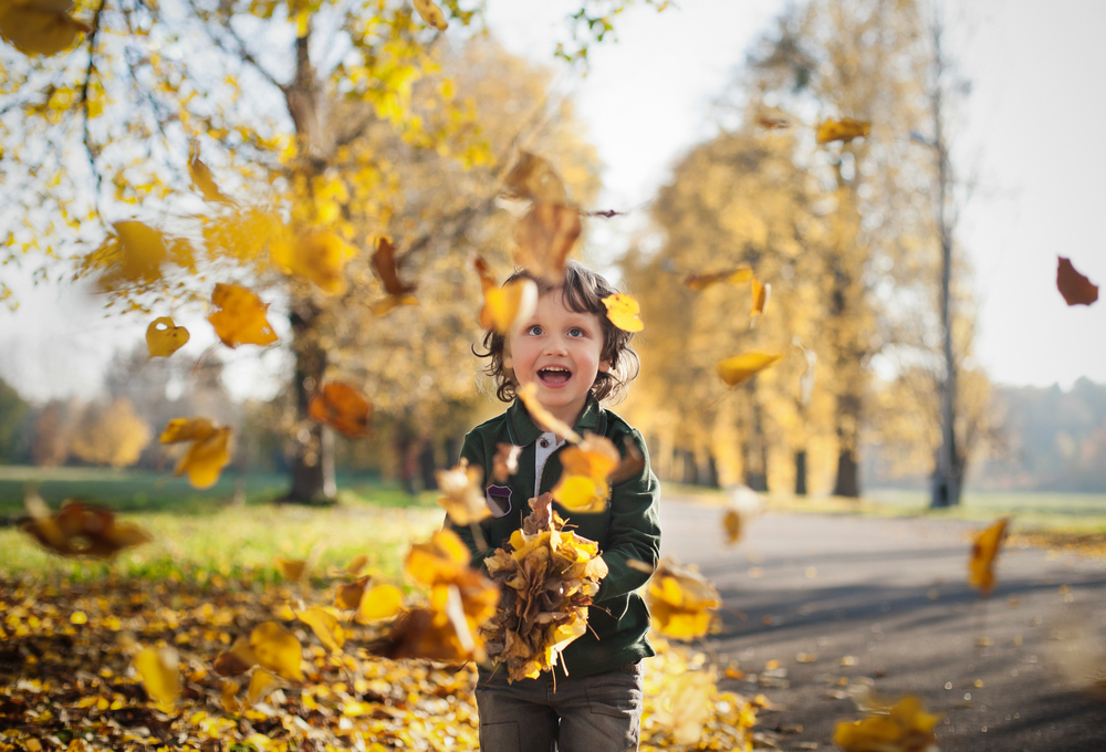 Understanding Fall Allergies